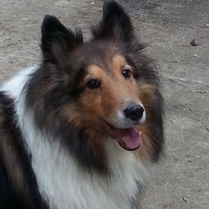 Meet your Posher, Kathy